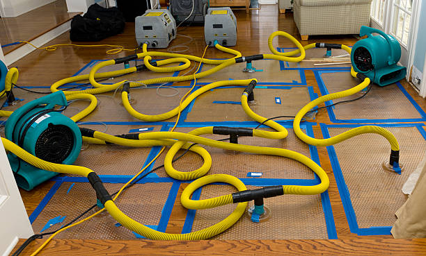 Professional Crawl Space Water Removal technician working in Plainfield, WI